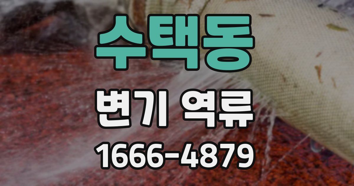 수택동 변기 역류