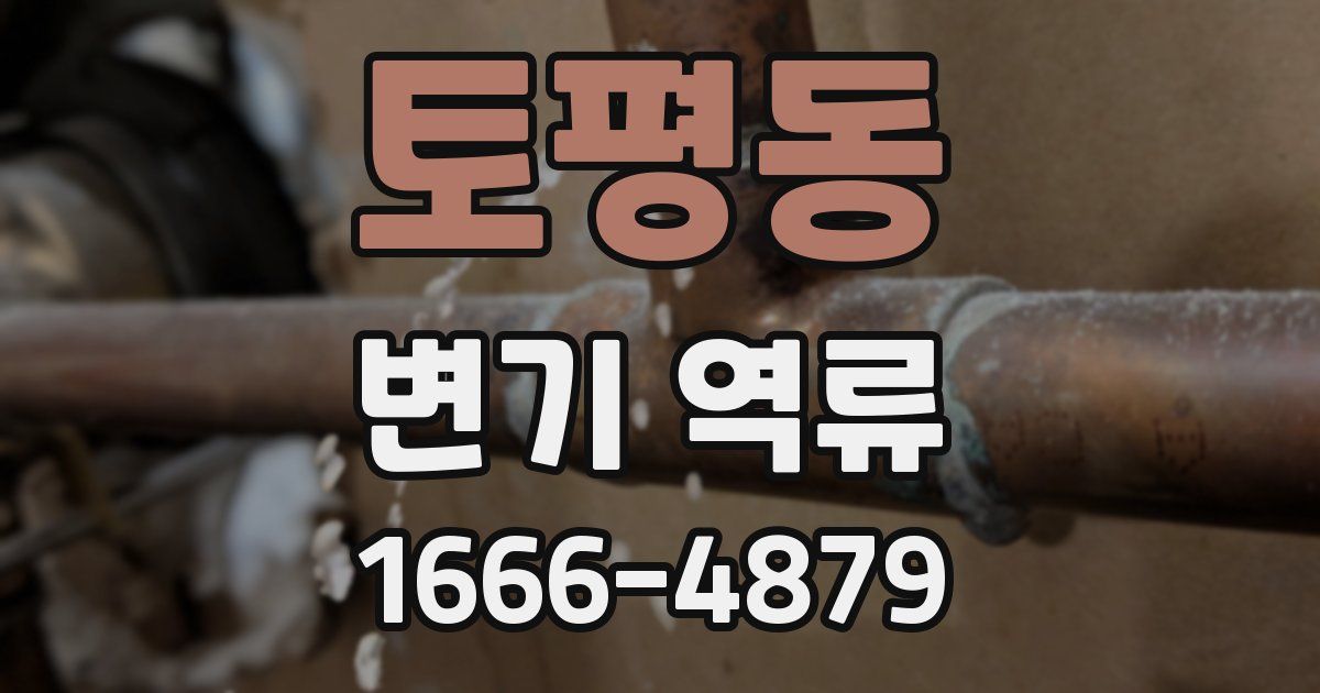 토평동 변기 역류