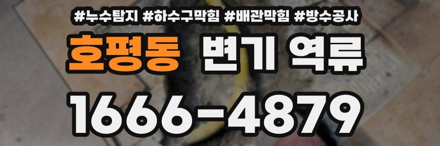 호평동 변기 역류