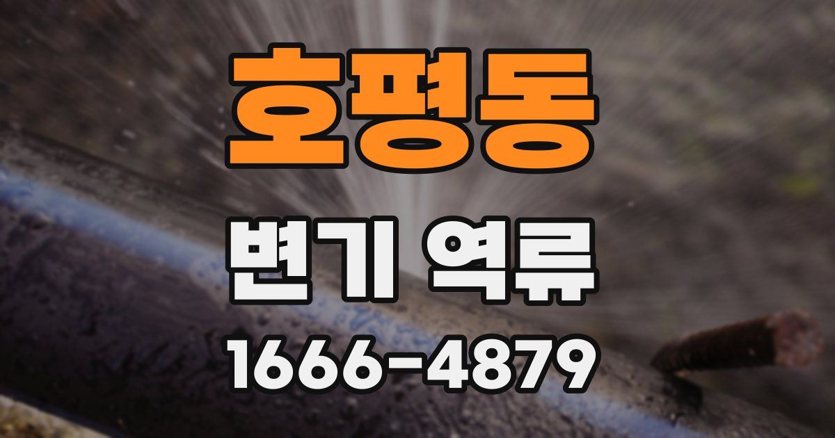 호평동 변기 역류