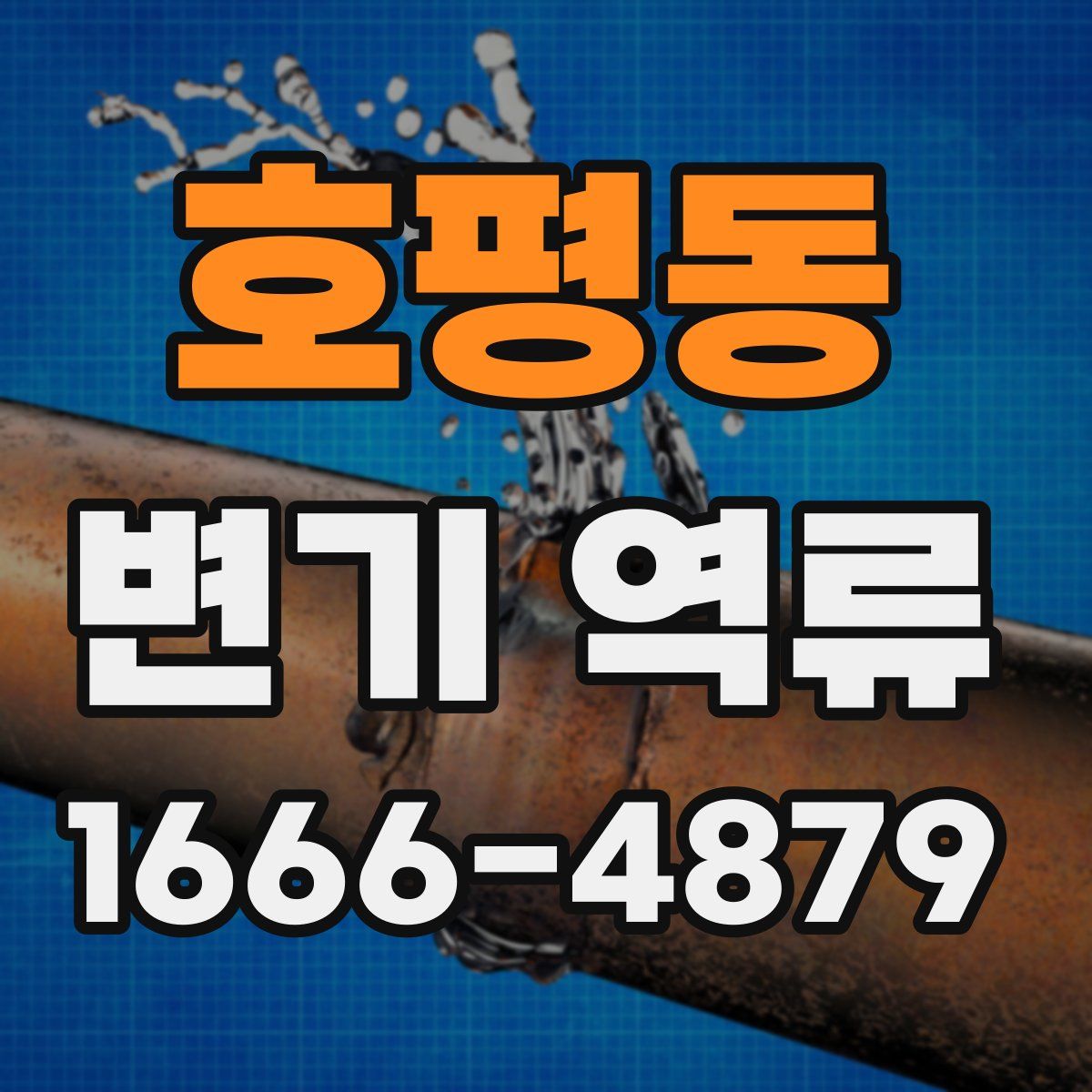 호평동 변기 역류