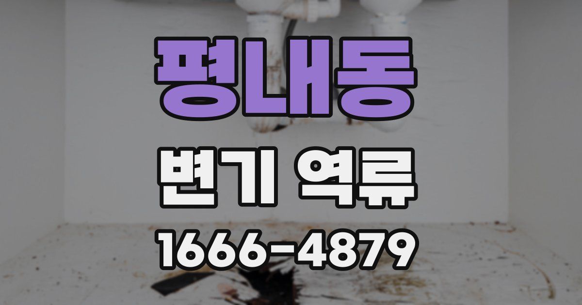 평내동 변기 역류
