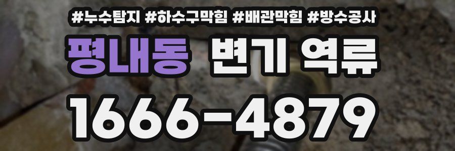 평내동 변기 역류