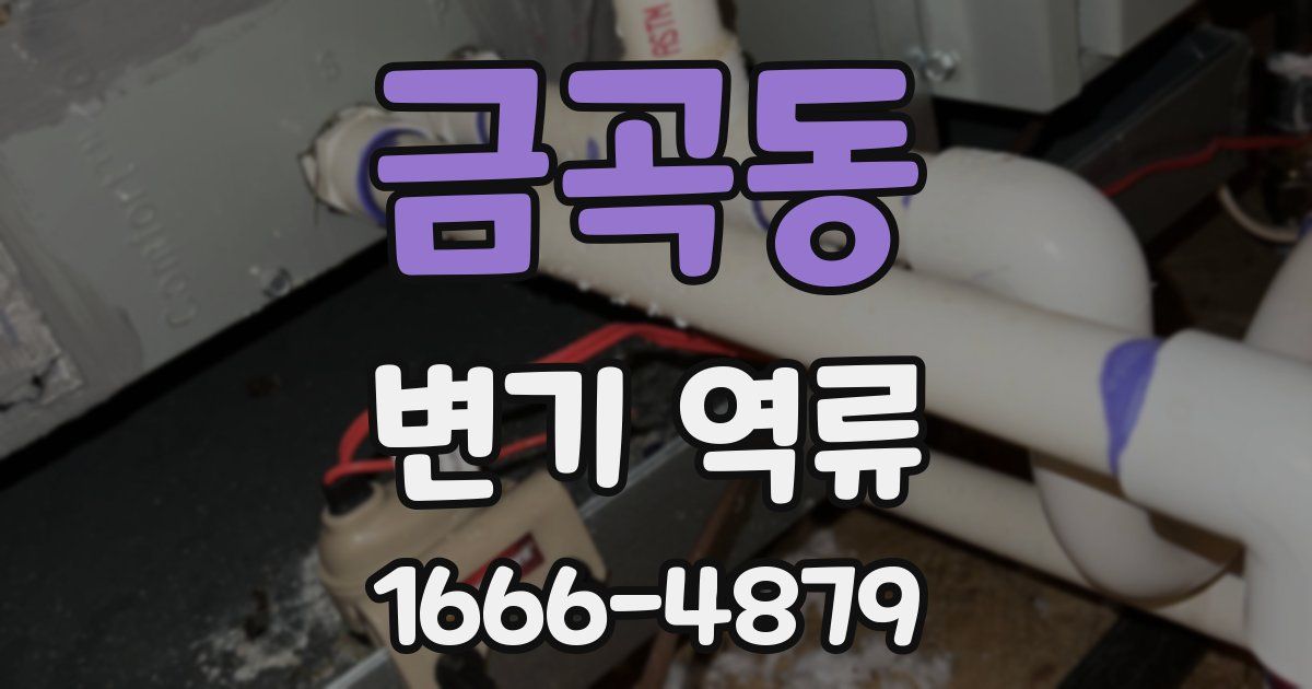 금곡동 변기 역류