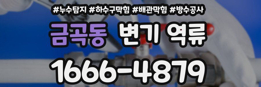 금곡동 변기 역류