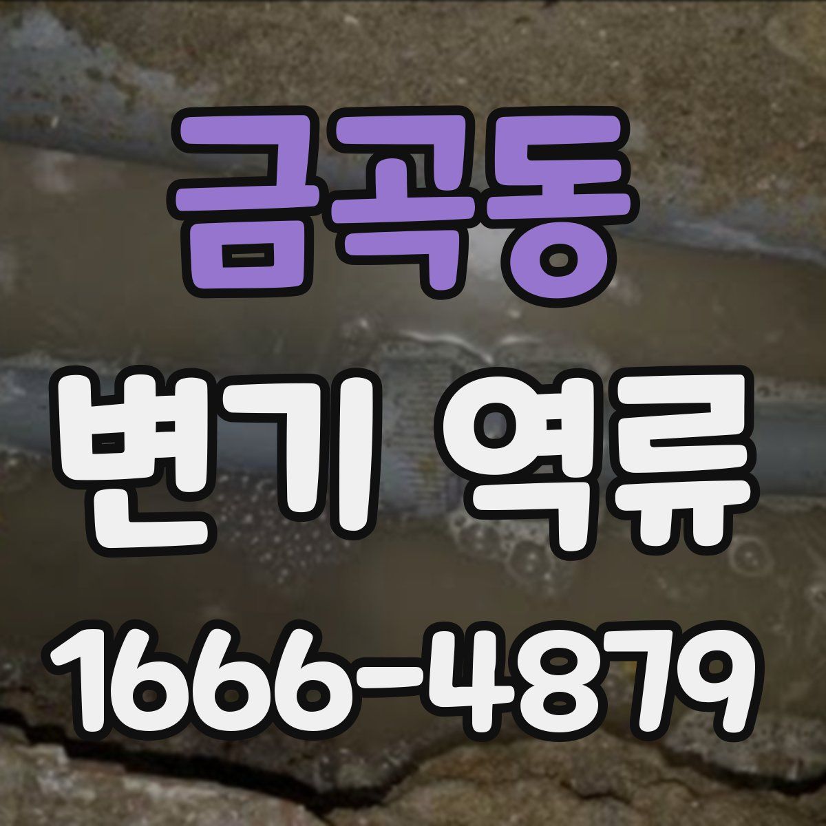 금곡동 변기 역류