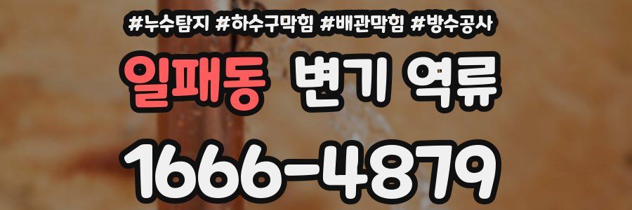 일패동 변기 역류