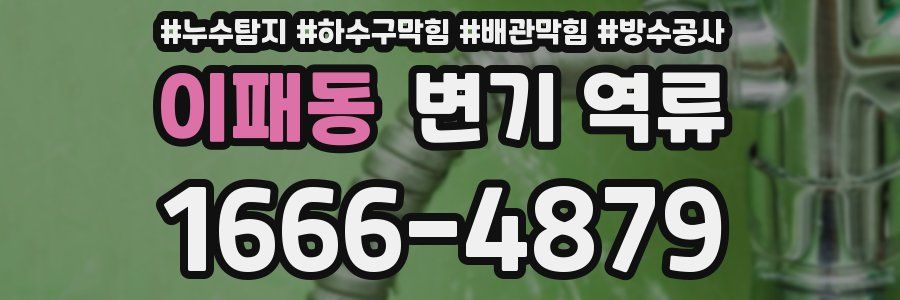 이패동 변기 역류