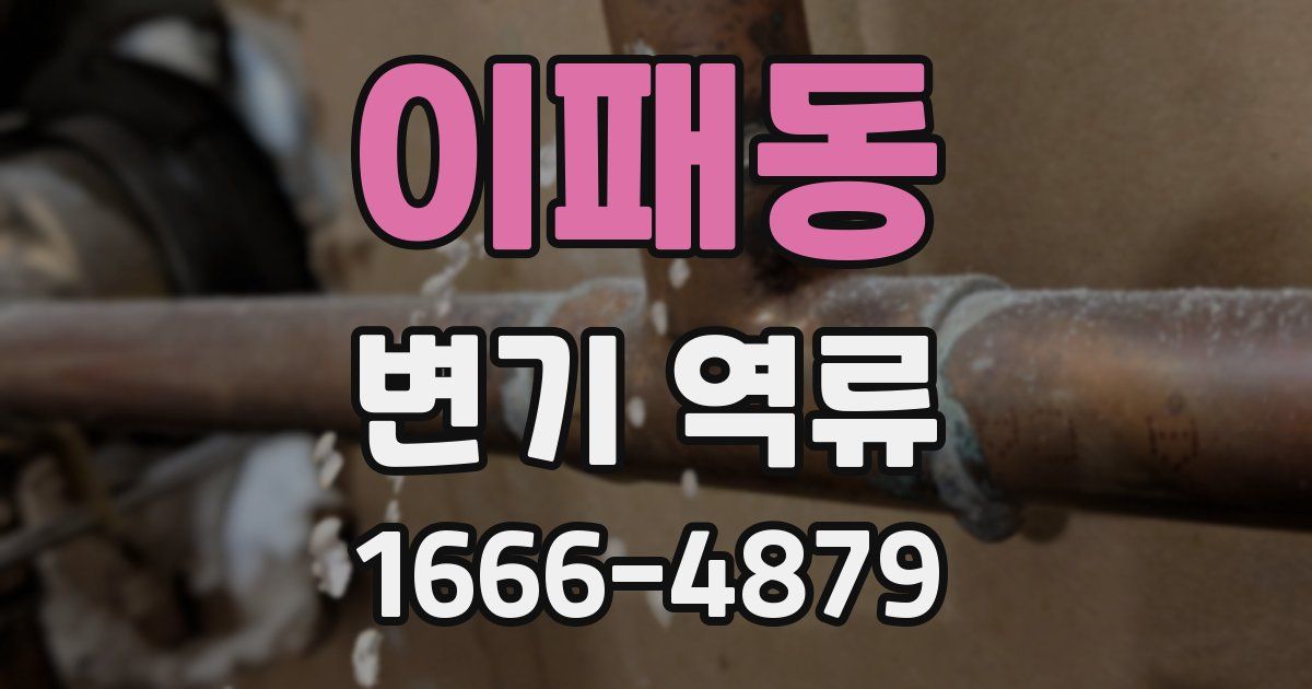 이패동 변기 역류