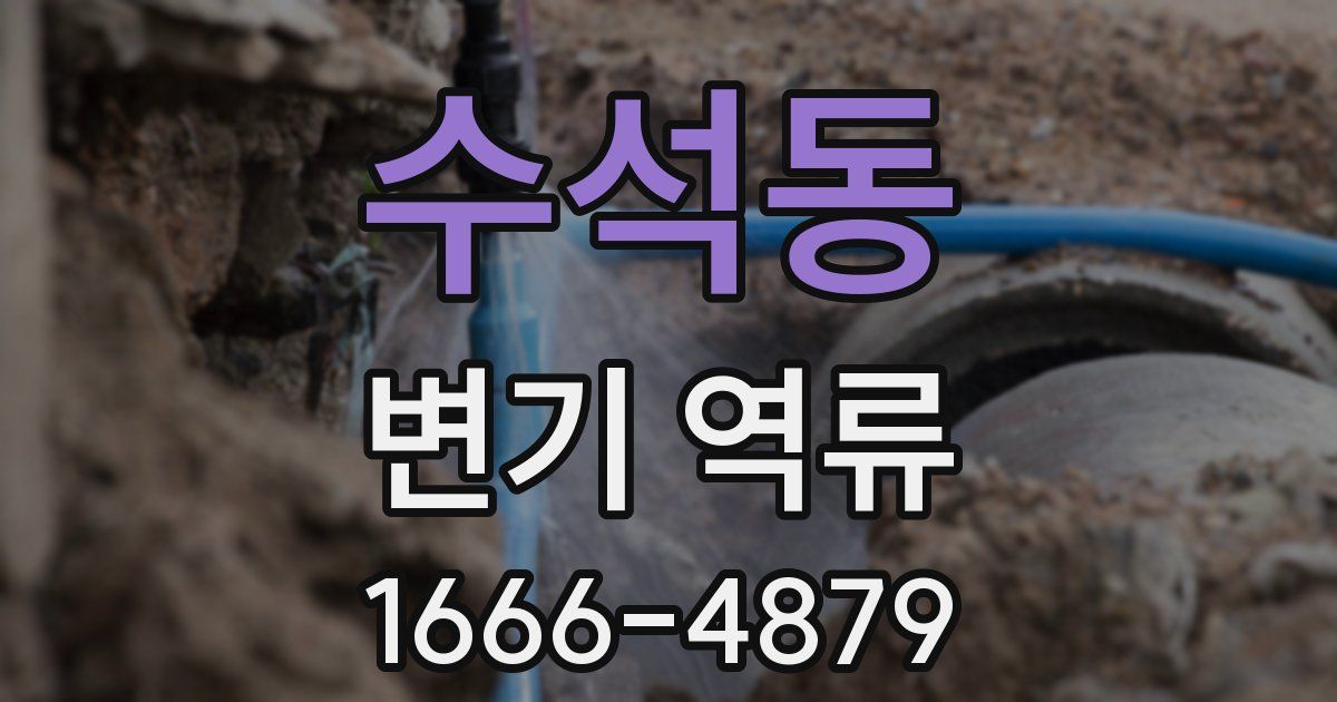 수석동 변기 역류