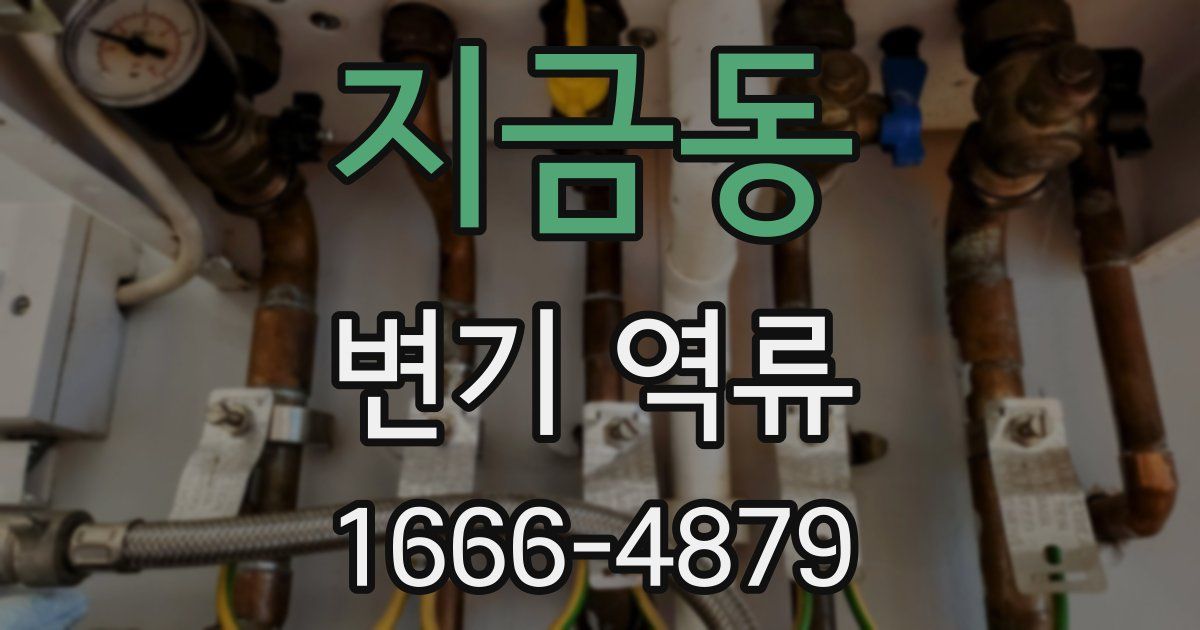 지금동 변기 역류