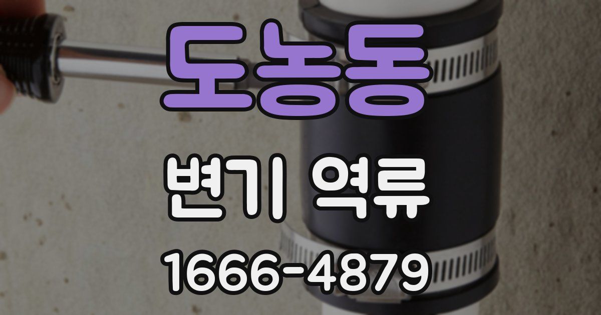 도농동 변기 역류