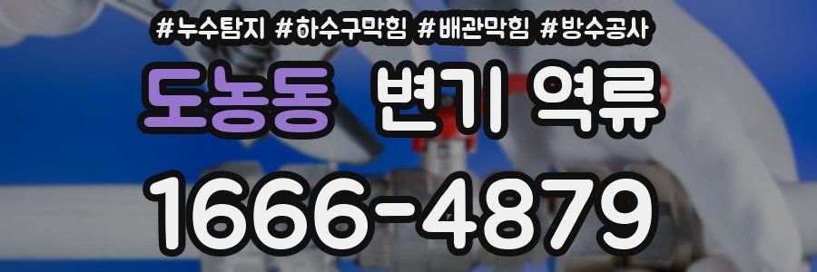 도농동 변기 역류