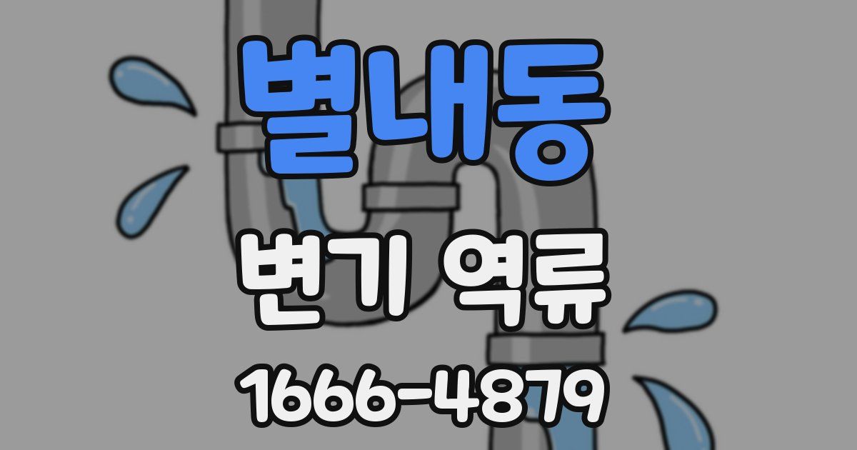 별내동 변기 역류