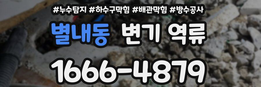 별내동 변기 역류