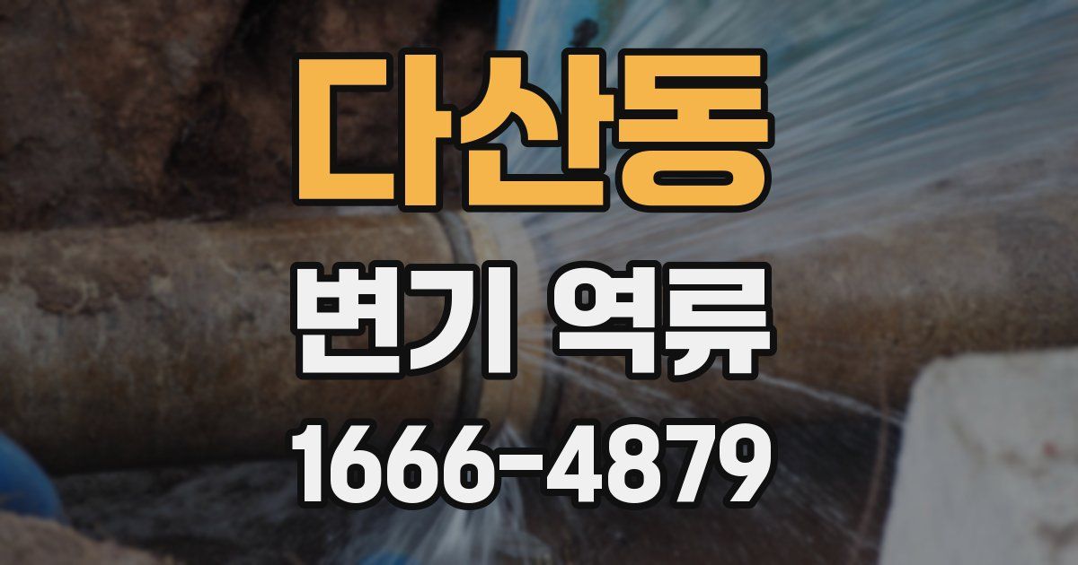 다산동 변기 역류