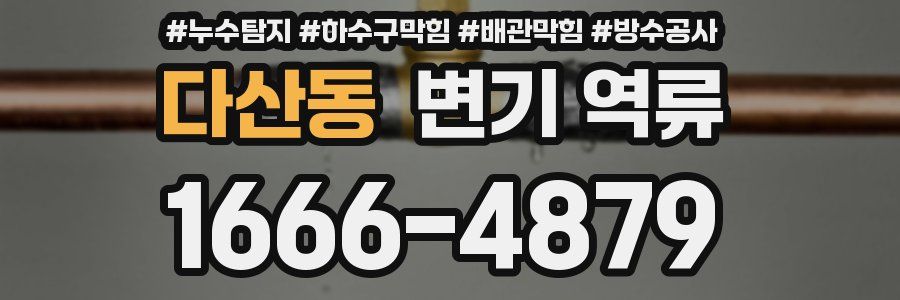 다산동 변기 역류
