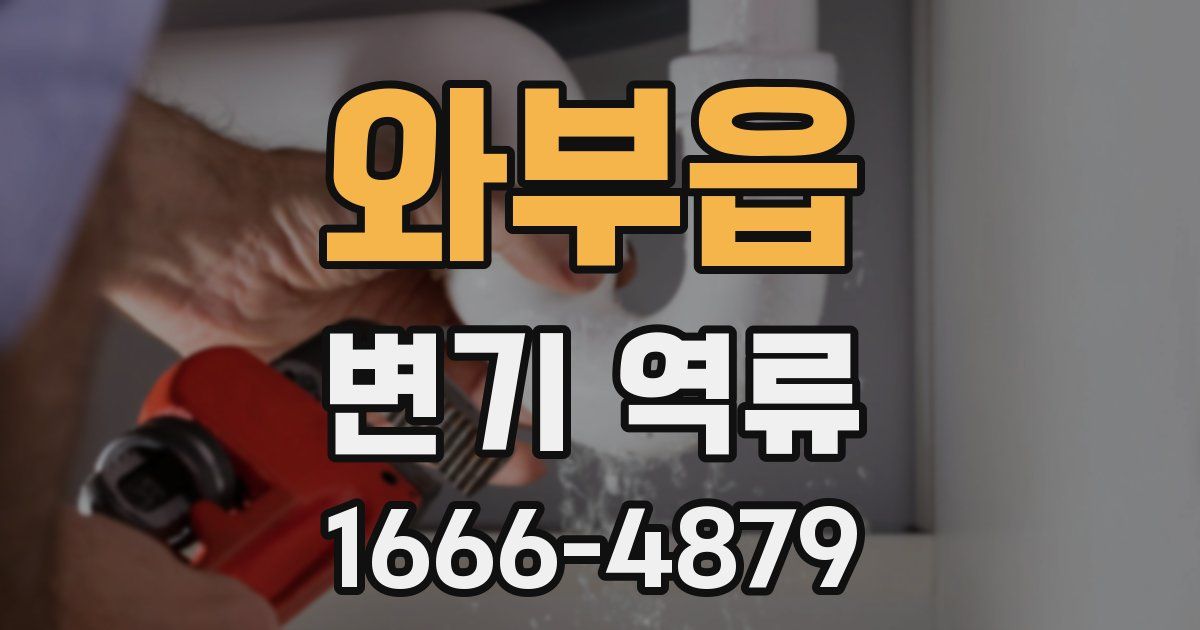 와부읍 변기 역류