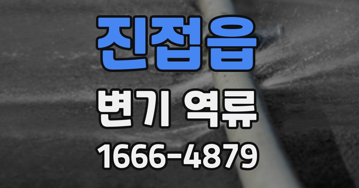 진접읍 변기 역류