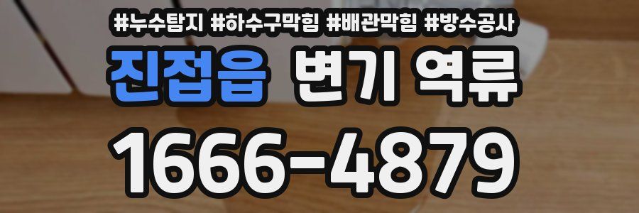 진접읍 변기 역류