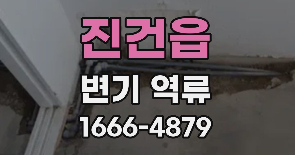 진건읍 변기 역류