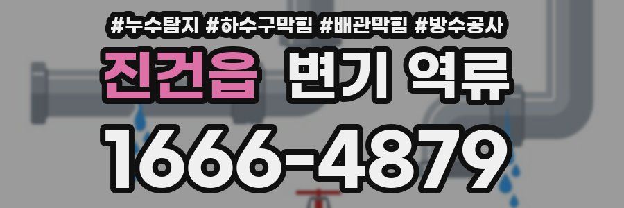 진건읍 변기 역류