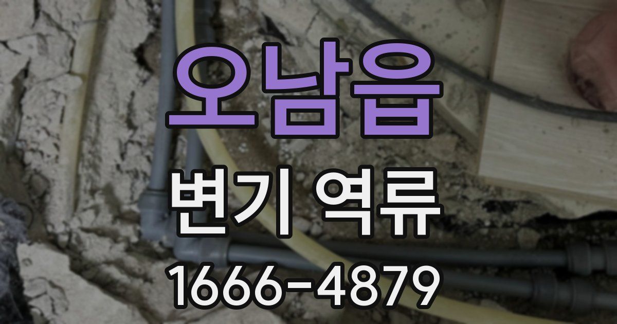 오남읍 변기 역류