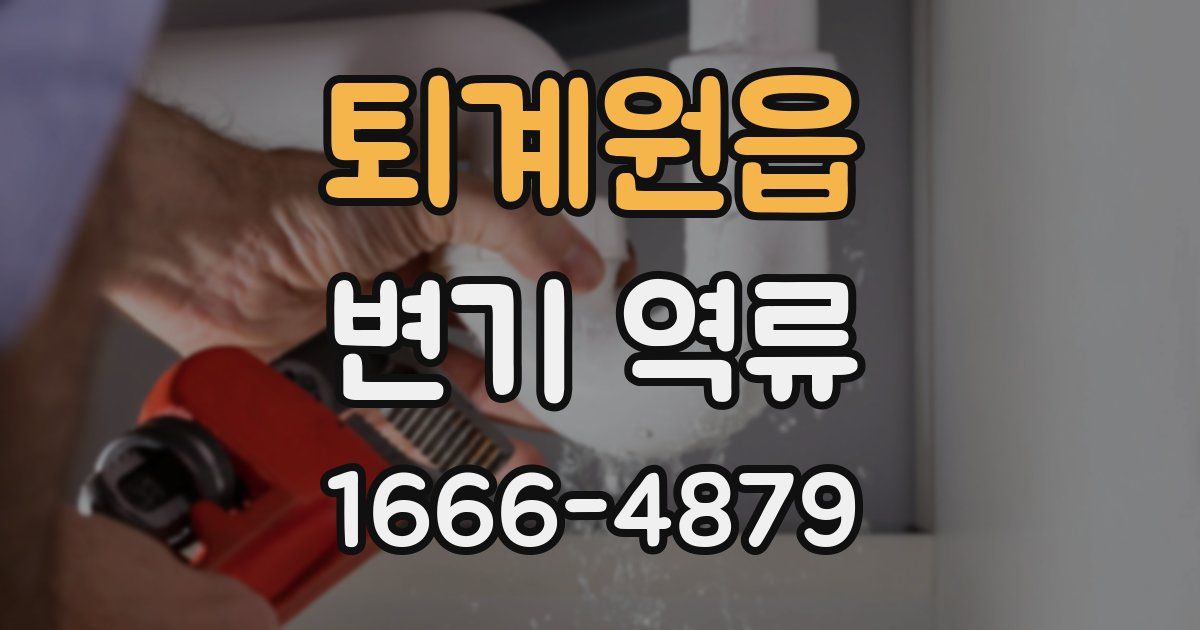 퇴계원읍 변기 역류