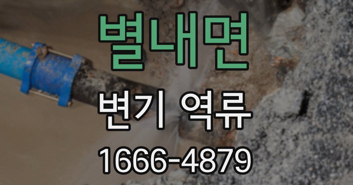 별내면 변기 역류