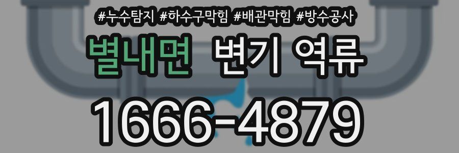 별내면 변기 역류