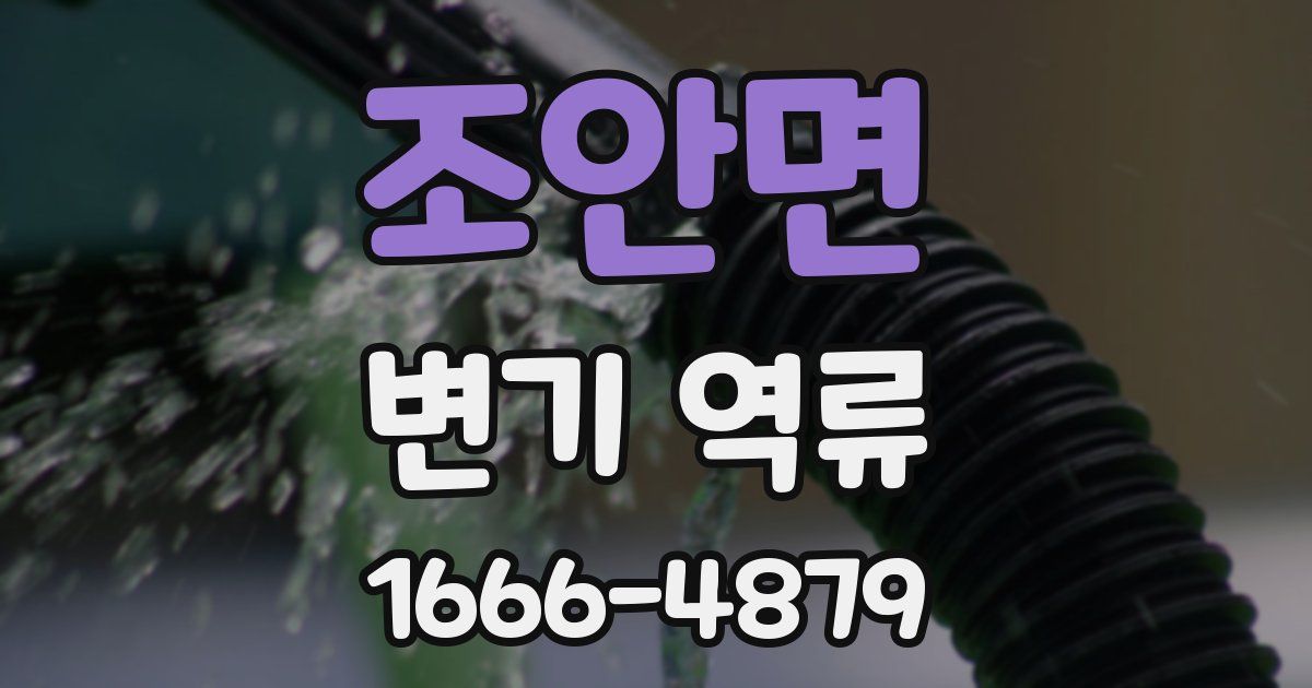 조안면 변기 역류