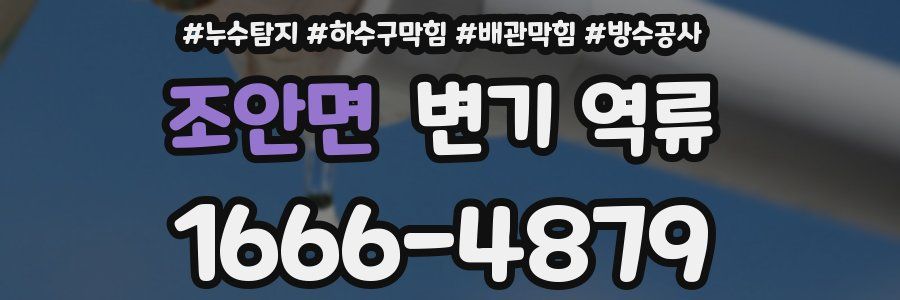 조안면 변기 역류