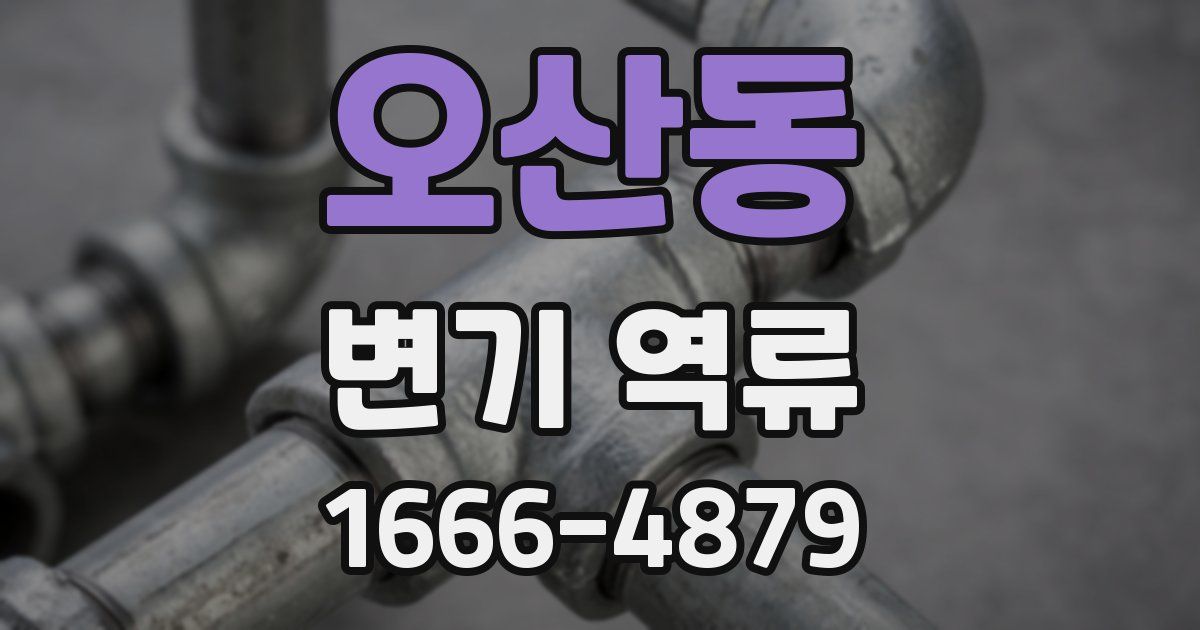 오산동 변기 역류