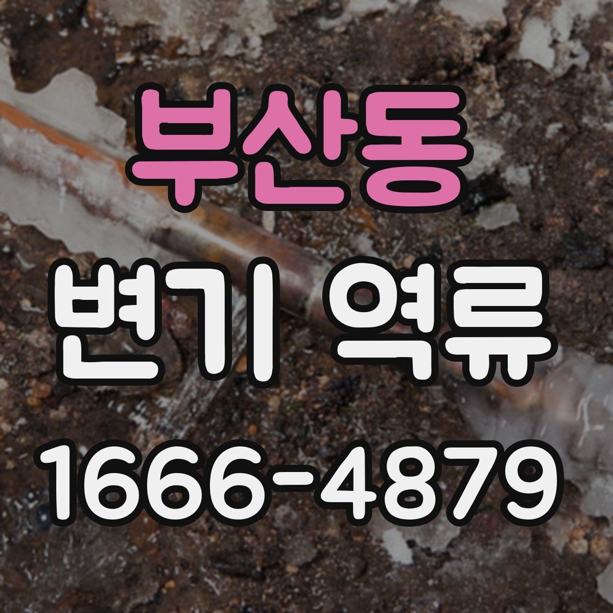 부산동 변기 역류