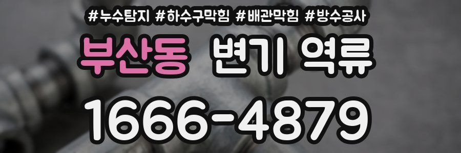 부산동 변기 역류
