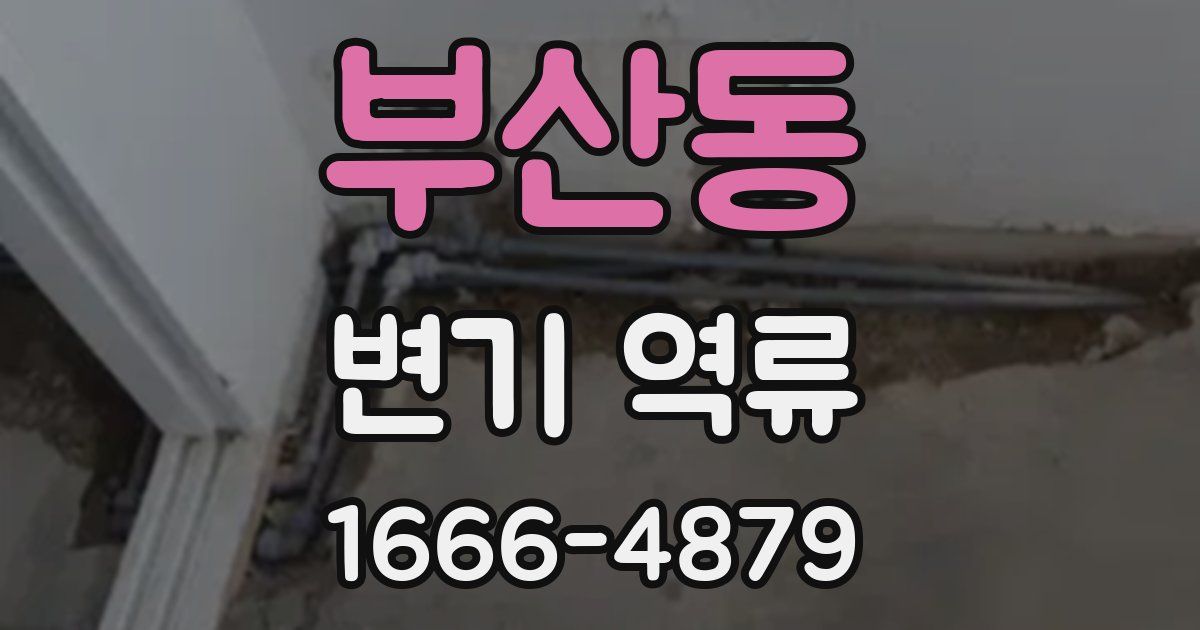 부산동 변기 역류