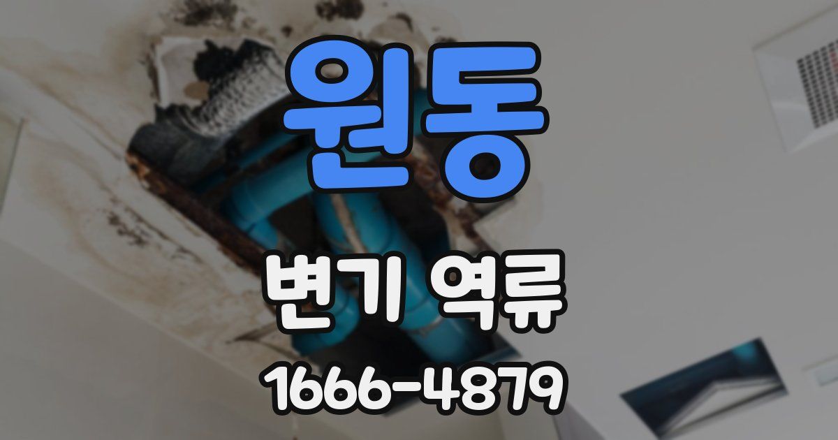 원동 변기 역류