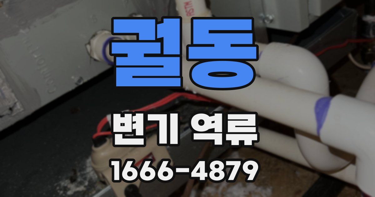 궐동 변기 역류