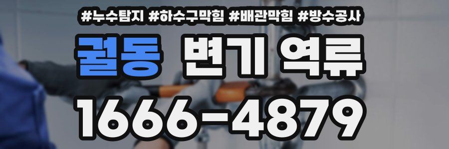 궐동 변기 역류