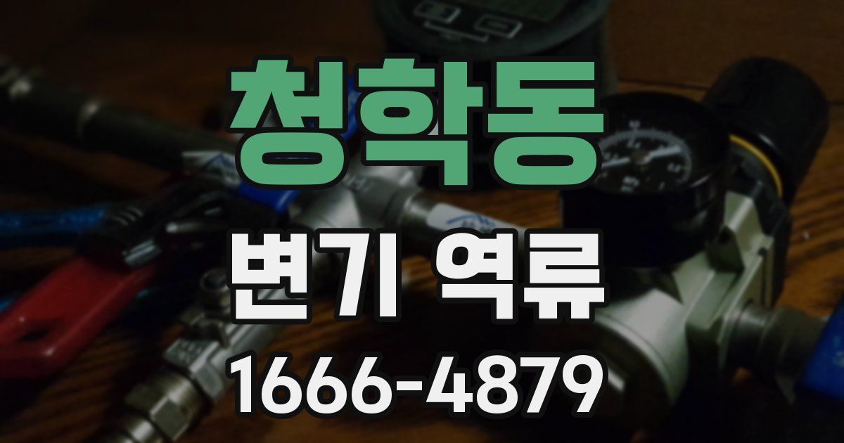청학동 변기 역류