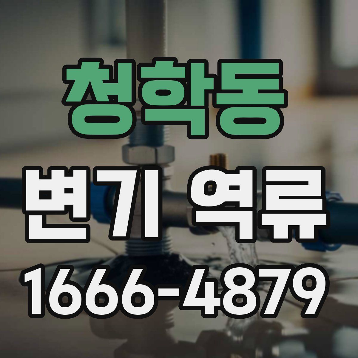 청학동 변기 역류
