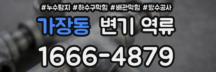 가장동 변기 역류