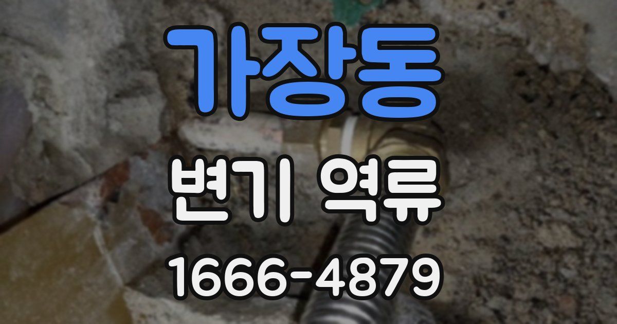 가장동 변기 역류