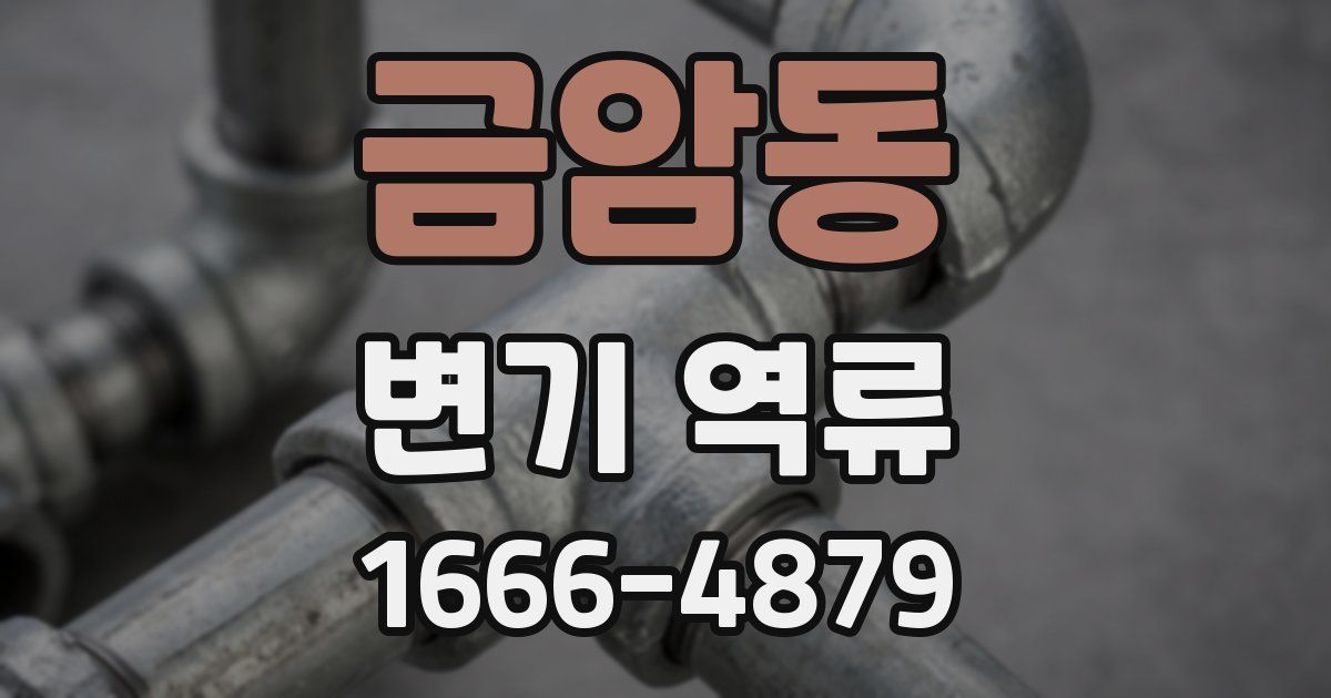 금암동 변기 역류
