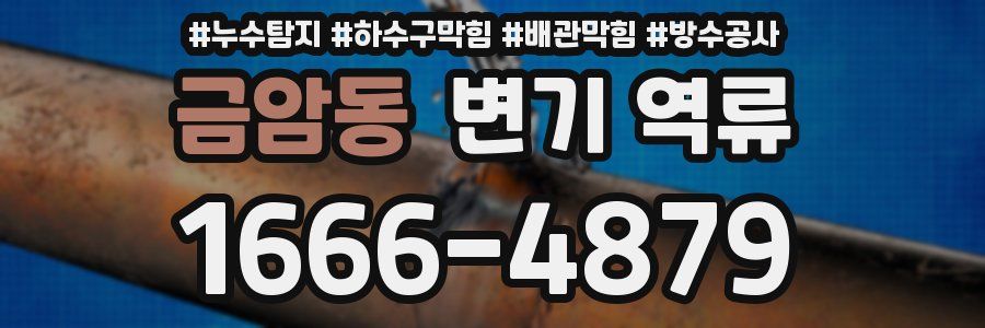 금암동 변기 역류