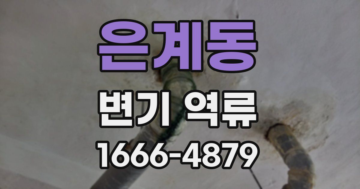 은계동 변기 역류