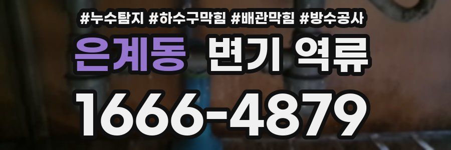 은계동 변기 역류