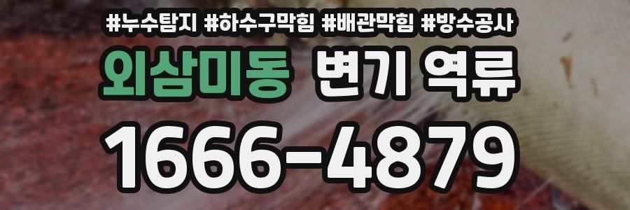 외삼미동 변기 역류