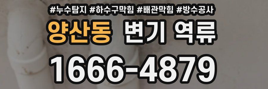 양산동 변기 역류