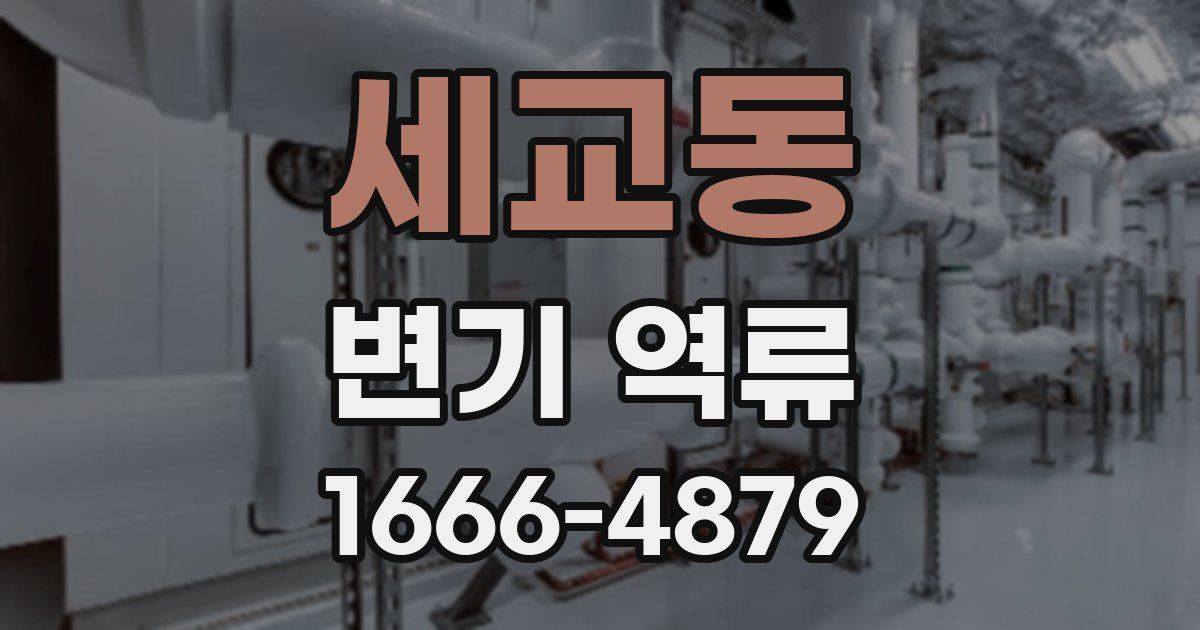 세교동 변기 역류